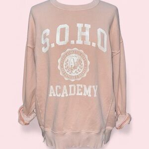 Aerie Distressed Graphic Crewneck Sweatshirt “Soho Academy” Sz M Pastel Pink